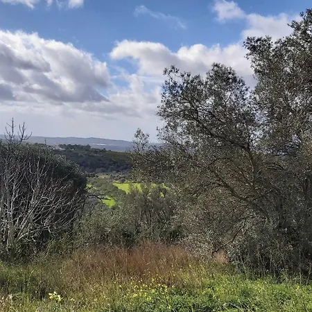Casa Delfim - Casa Azul Σπίτι διακοπών