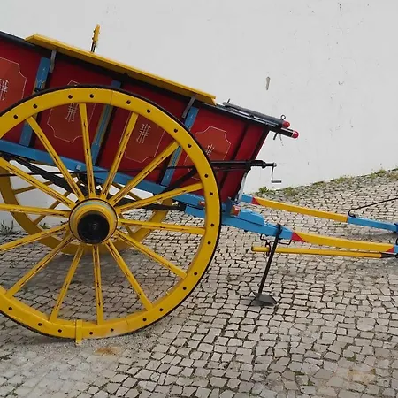Casa Delfim - Casa Azul