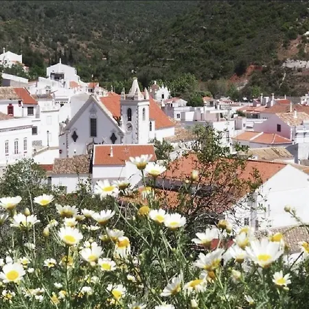 Vakantiehuis Casa Delfim - Casa Azul