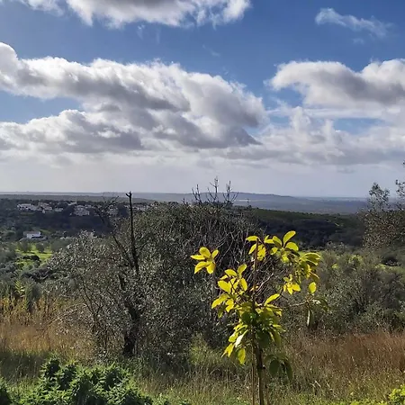 Casa Delfim - Casa Azul * Alte